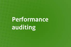 Performance Audit